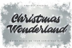 Christmas Wonderland