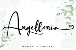 Angellonia
