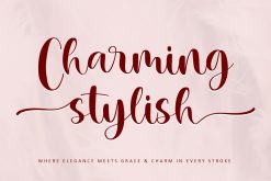 Charming Stylish