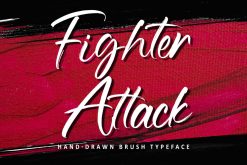 Fighter Attack