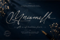 Maisonelle – Elegant Signature Script Font